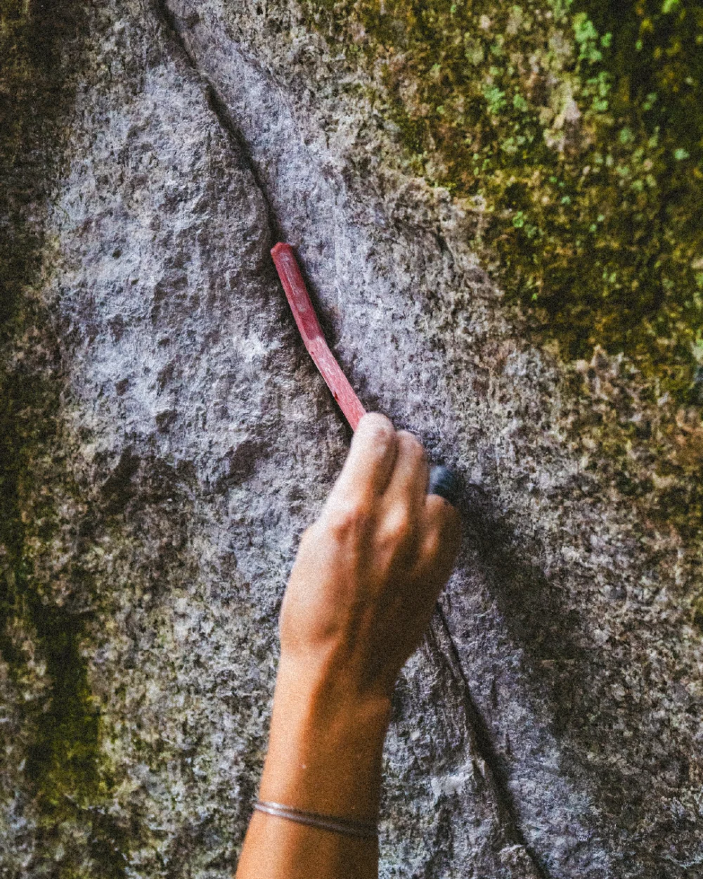 climbing brush on rock